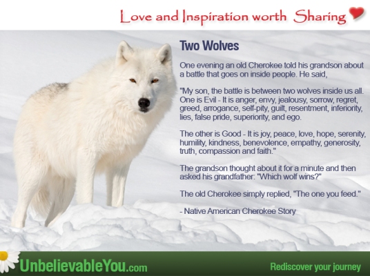 Two-Wolves2 (1)